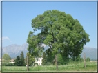 foto Colline tra Fonte Alto e Paderno del Grappa